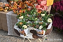 VBS_6703 - FLOREAL Ottobre 2022 - Tre giorni di fiori, piante e bellezza